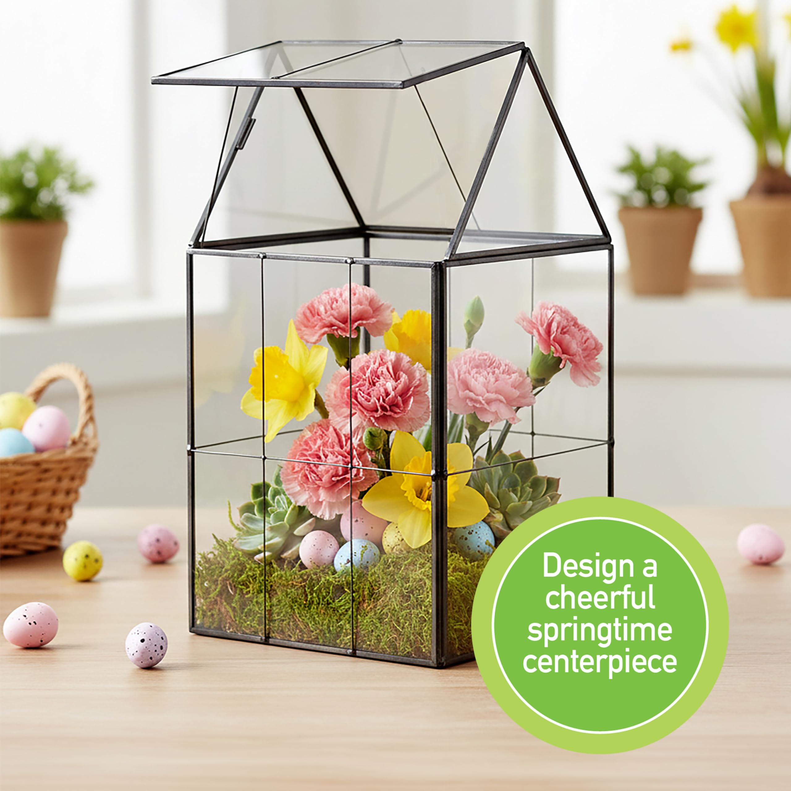 D'Eco terrarium close-up of black brass frame emphasizing refined detailing