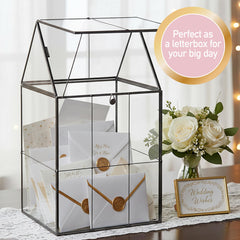 D'Eco terrarium with hinged top open showing easy access and ventilation
