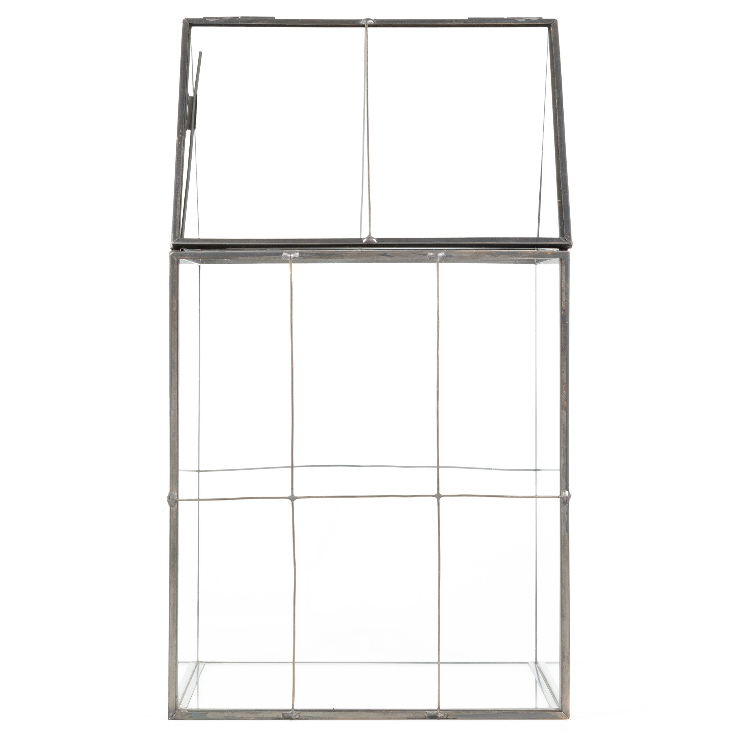 D'Eco terrarium beside ruler demonstrating 11-inch height and scale