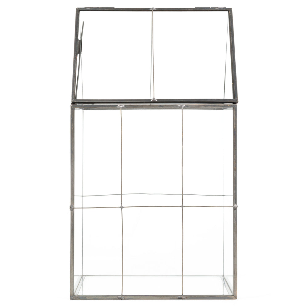 D'Eco terrarium beside ruler demonstrating 11-inch height and scale