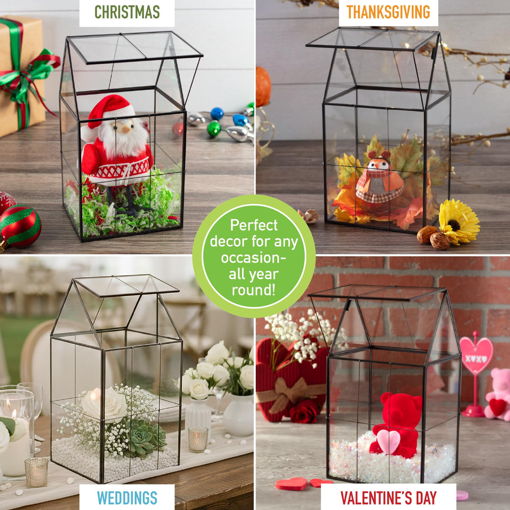D'Eco terrarium styled with fairy lights showing warm seasonal ambiance