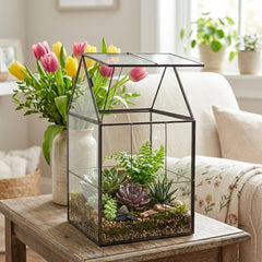 D'Eco terrarium filled with succulents highlighting low-maintenance display
