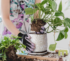 D'vine Dev close-up of ceramic leaf texture and glaze, highlights sculpted detail and quality