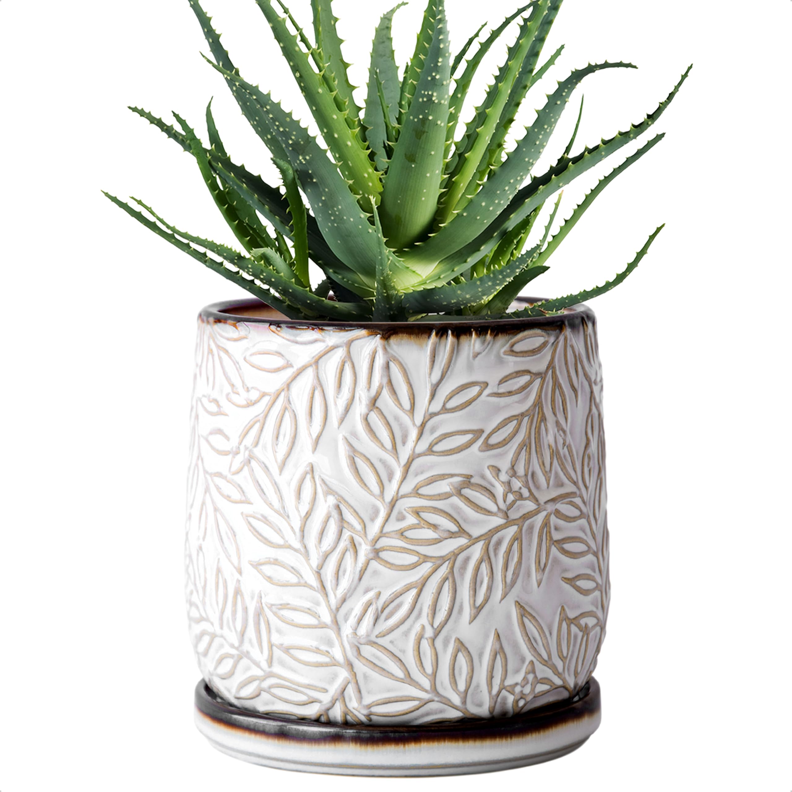 D'vine Dev front view of planter showing embossed leaves and smoked-white finish, stylish accent