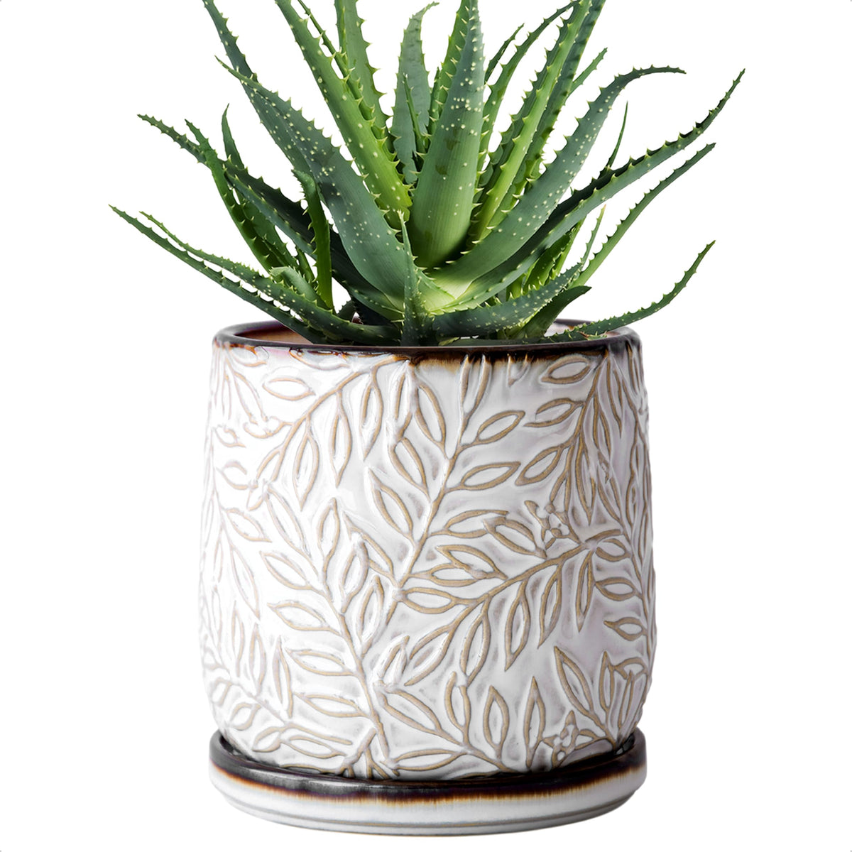 D'vine Dev front view of planter showing embossed leaves and smoked-white finish, stylish accent
