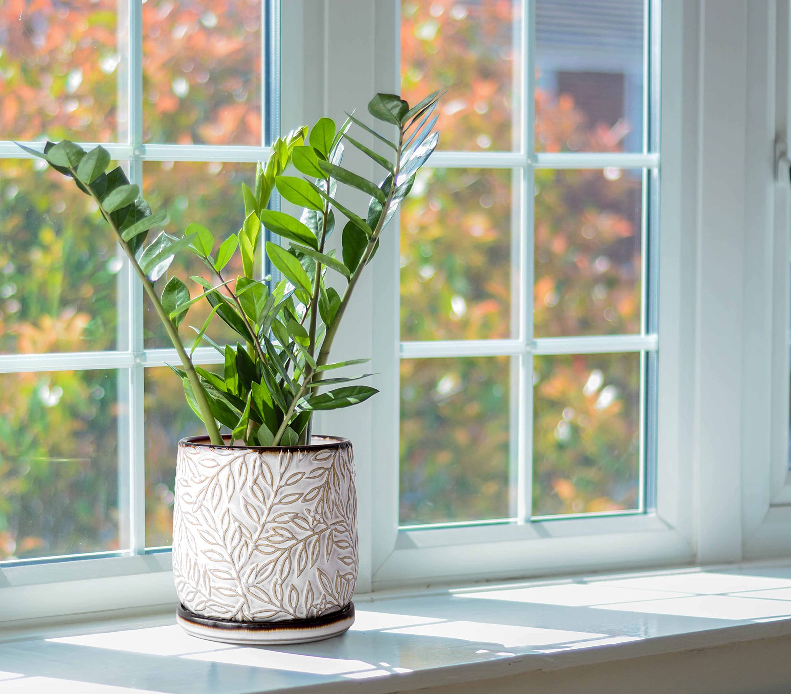 D'vine Dev planter held in hand for scale, demonstrates ideal size for small houseplants