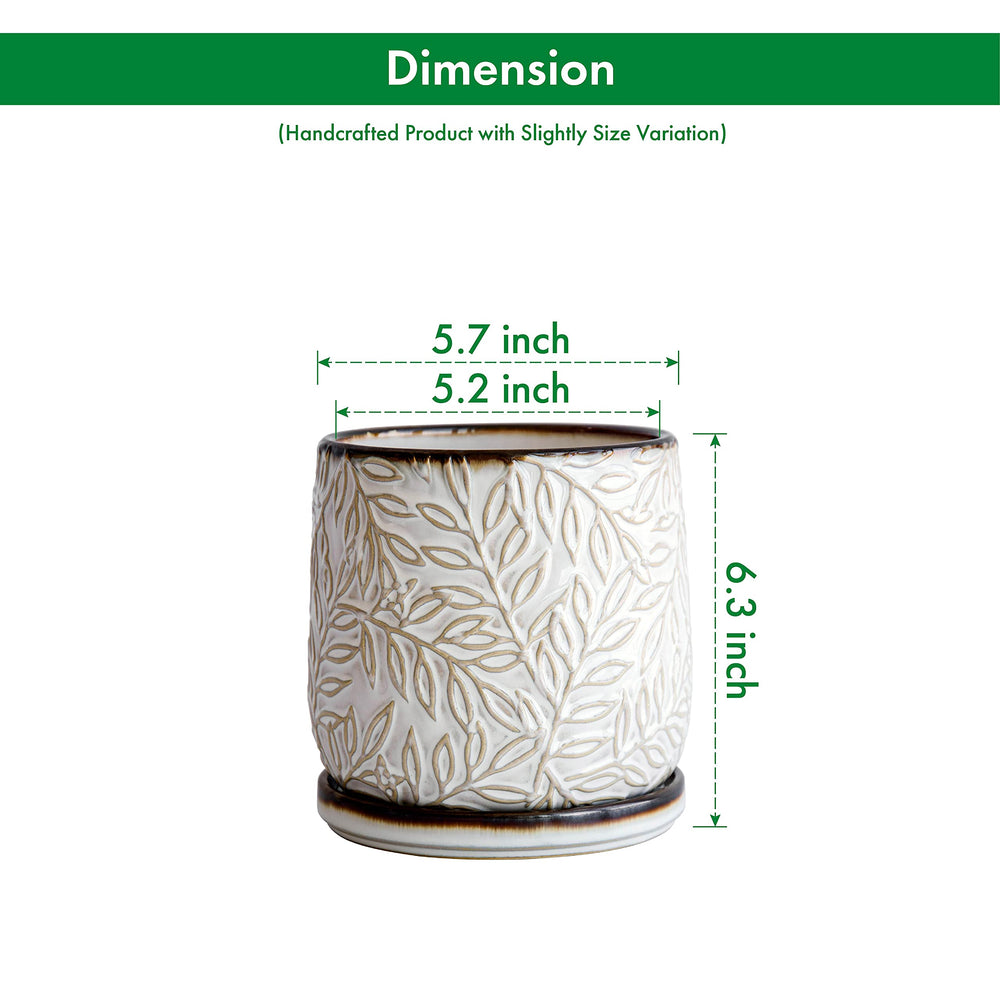 D'vine Dev planter seated on matching saucer, protects surfaces and collects excess water