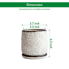 D'vine Dev planter seated on matching saucer, protects surfaces and collects excess water