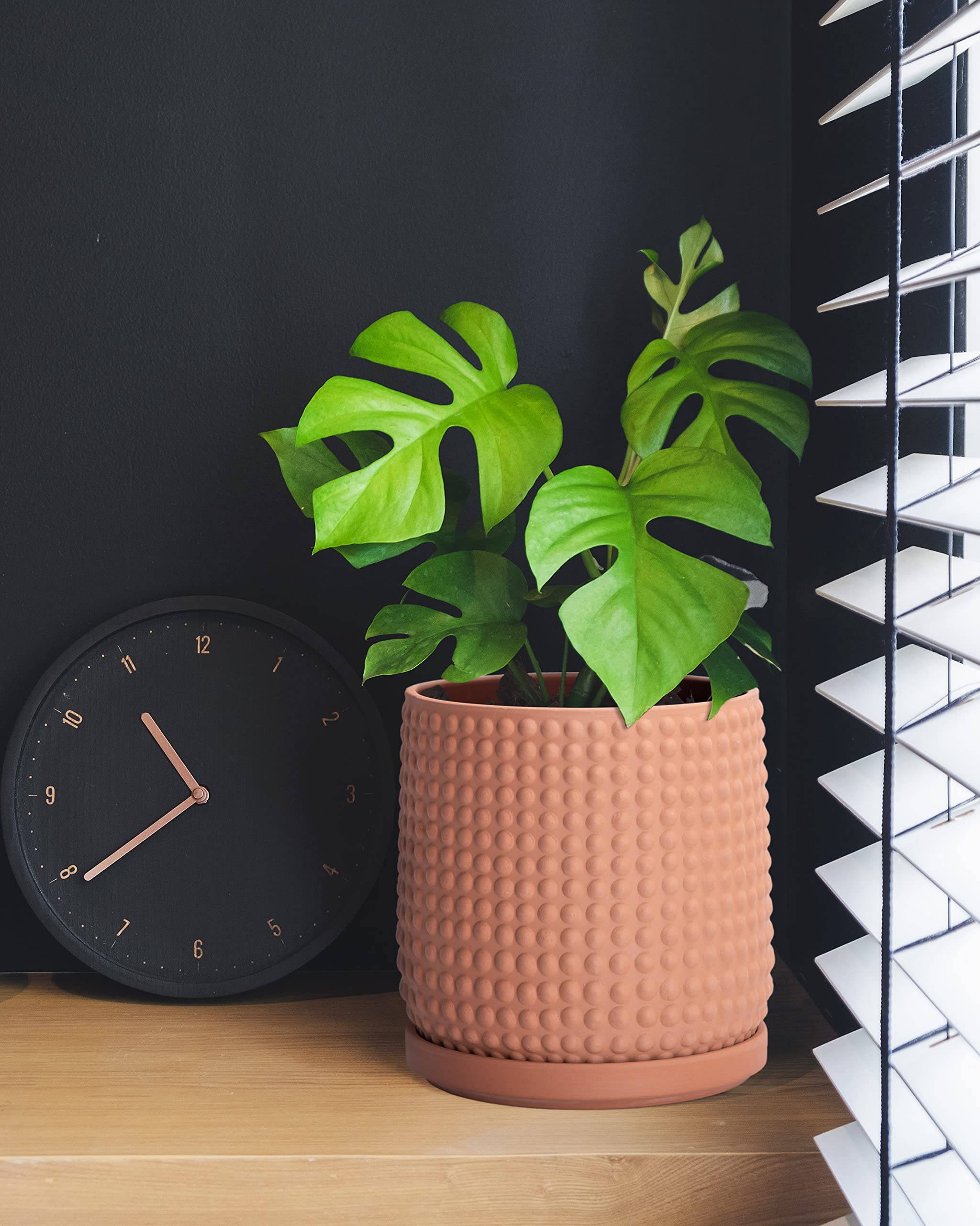 D'vine Dev pot in living room showing how it complements home decor and plants