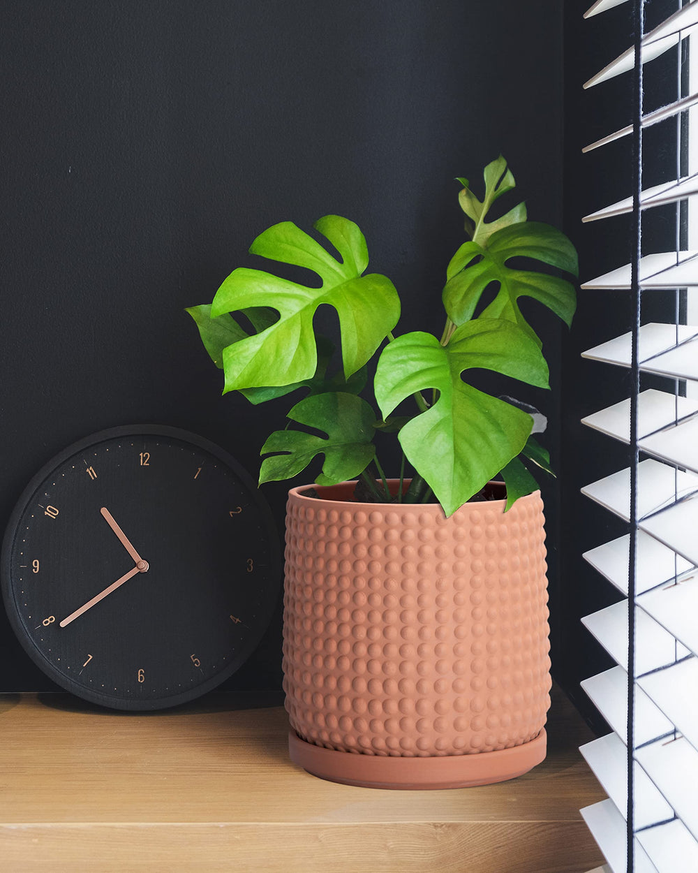 D'vine Dev pot in living room showing how it complements home decor and plants