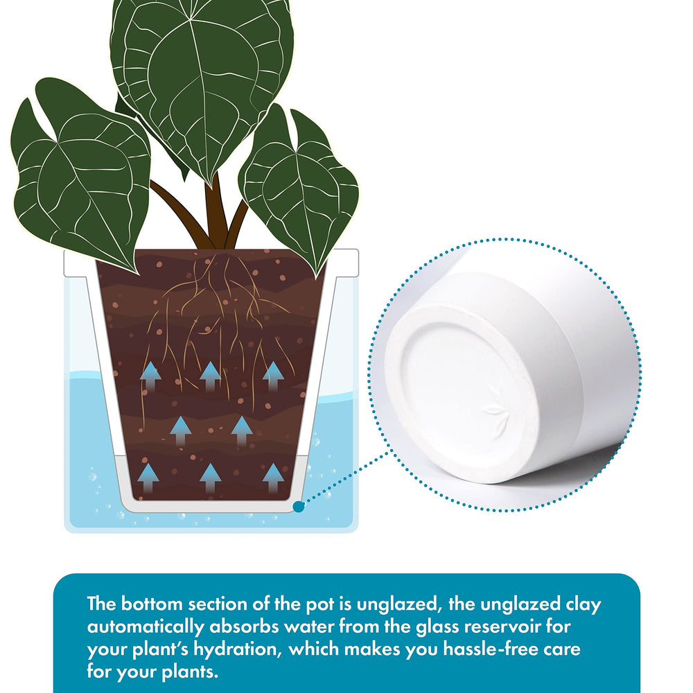 D'vine Dev planter with basil on windowsill illustrating healthy growth and space-saving benefit