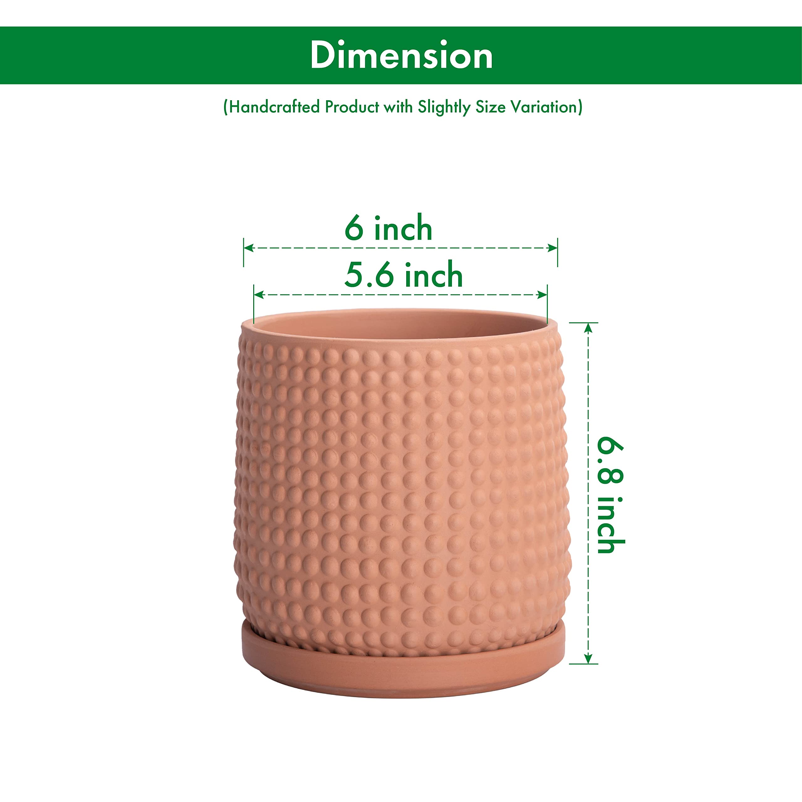 D'vine Dev ceramic saucer paired with pot to catch excess water and protect surfaces