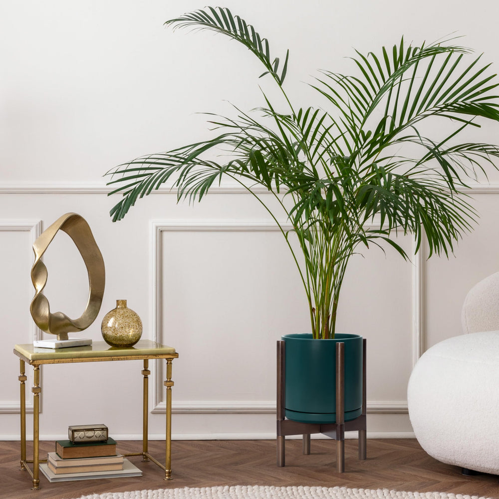 D'vine Dev pot next to chair for size comparison showing compact, space-saving height