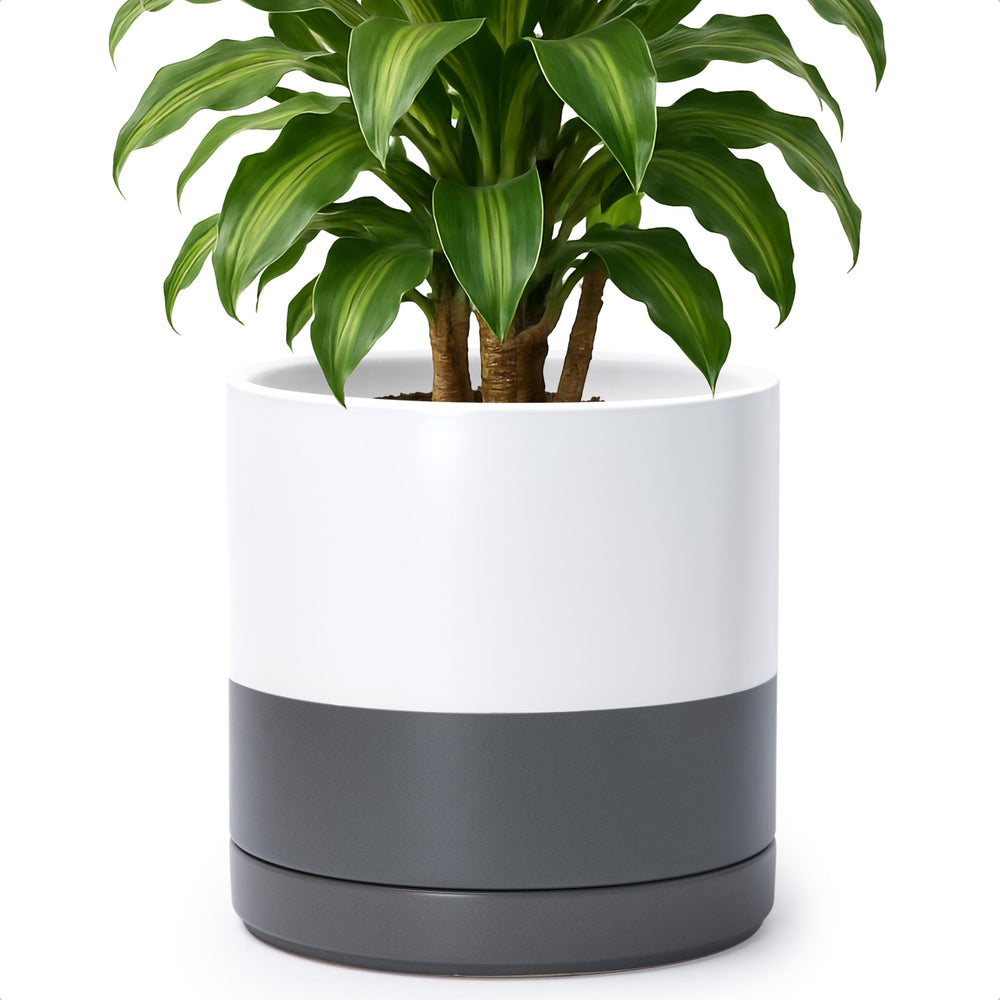 D'vine Dev side profile showing 10.2-inch height for medium-sized houseplants