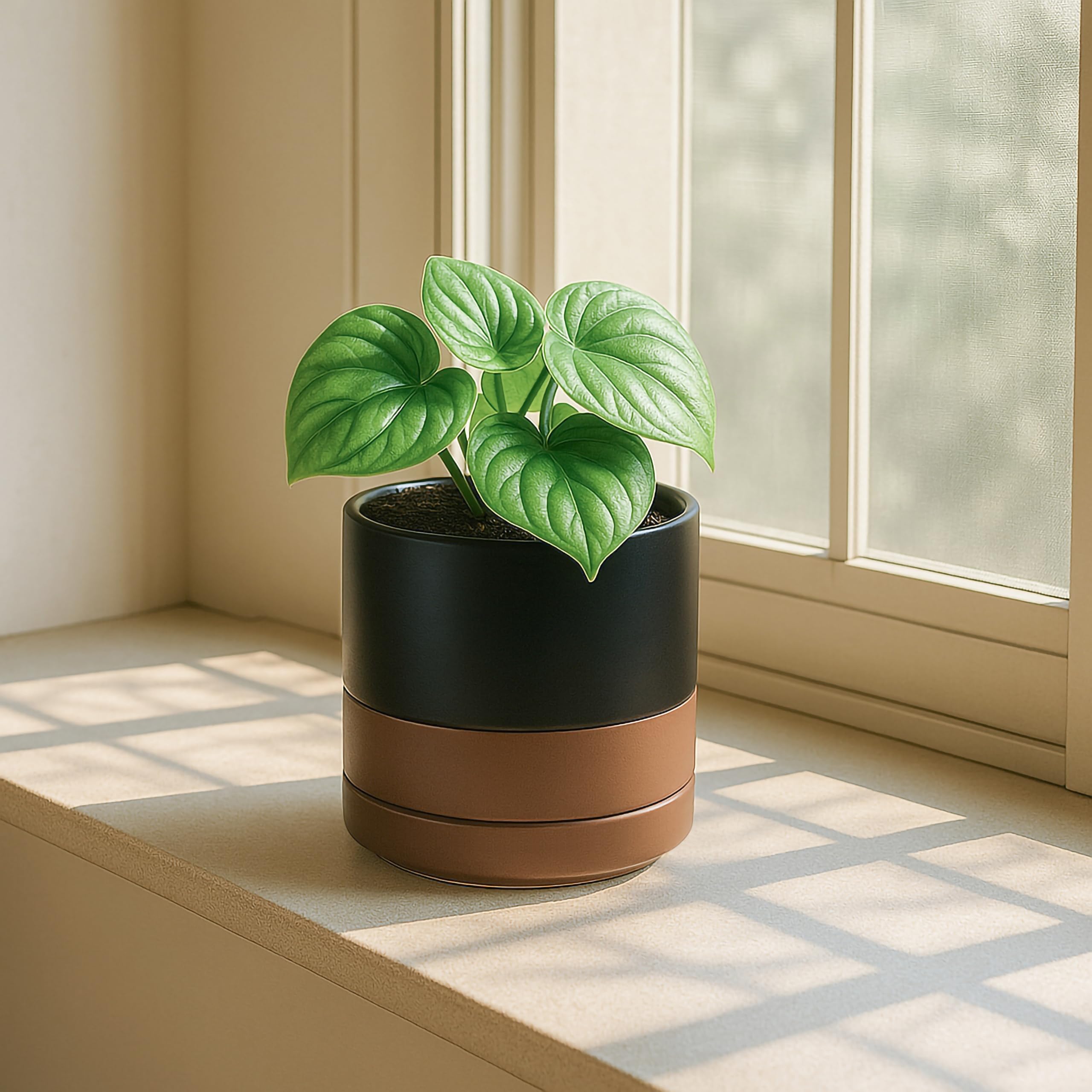 D'vine Dev side profile showing pot silhouette and stable base benefit