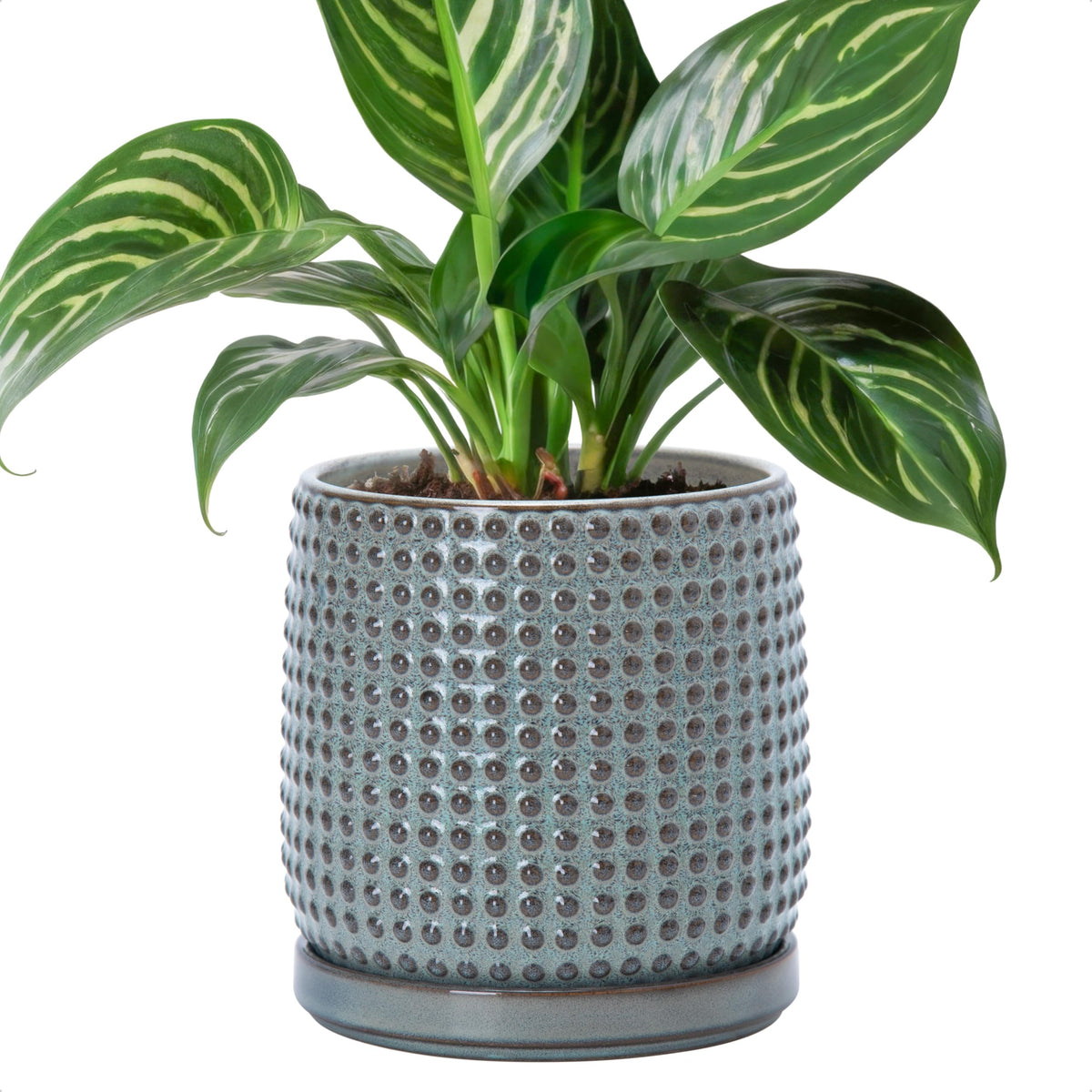 D'vine Dev beaded pot front view showing graphite blue finish and elegant shape