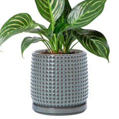 D'vine Dev beaded pot front view showing graphite blue finish and elegant shape