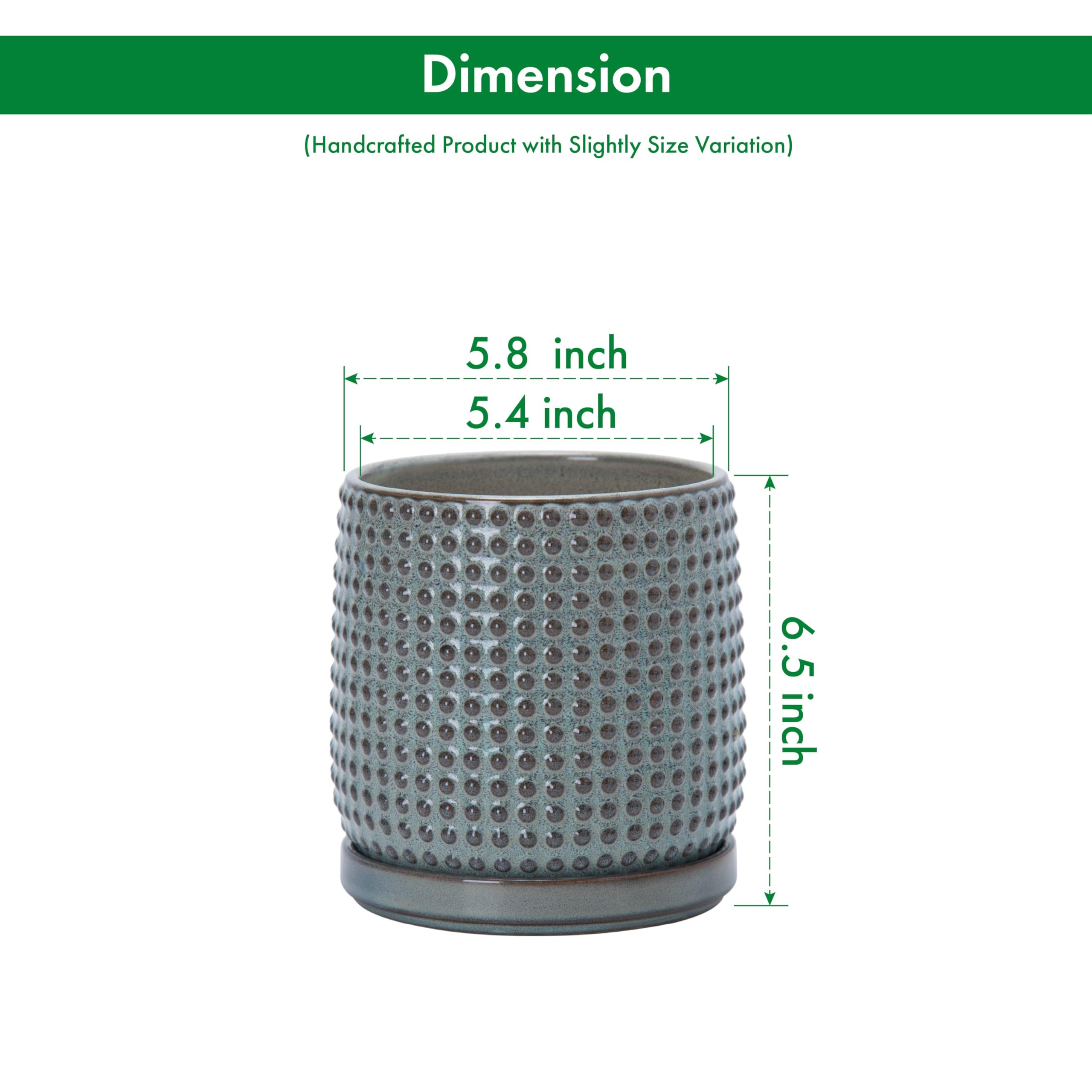 D'vine Dev pot with matching saucer showing neat water catch and tidy surface