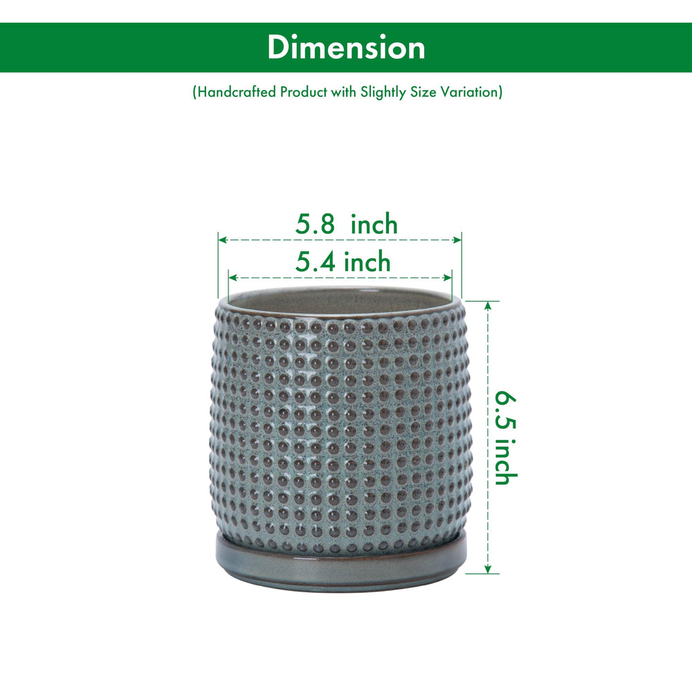 D'vine Dev pot with matching saucer showing neat water catch and tidy surface