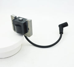 DABAZUALY included spark plugs and coils arranged to show complete kit convenience