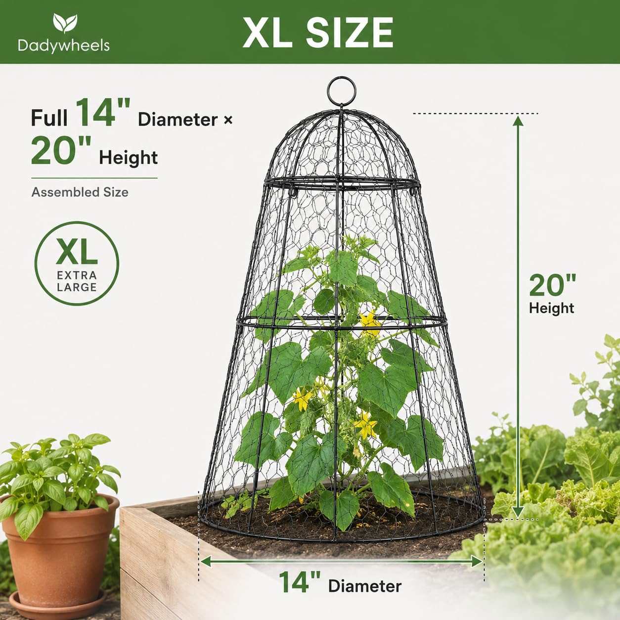 Dadywheels cloche protecting young vegetables with airflow and light benefit