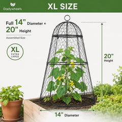 Dadywheels cloche protecting young vegetables with airflow and light benefit