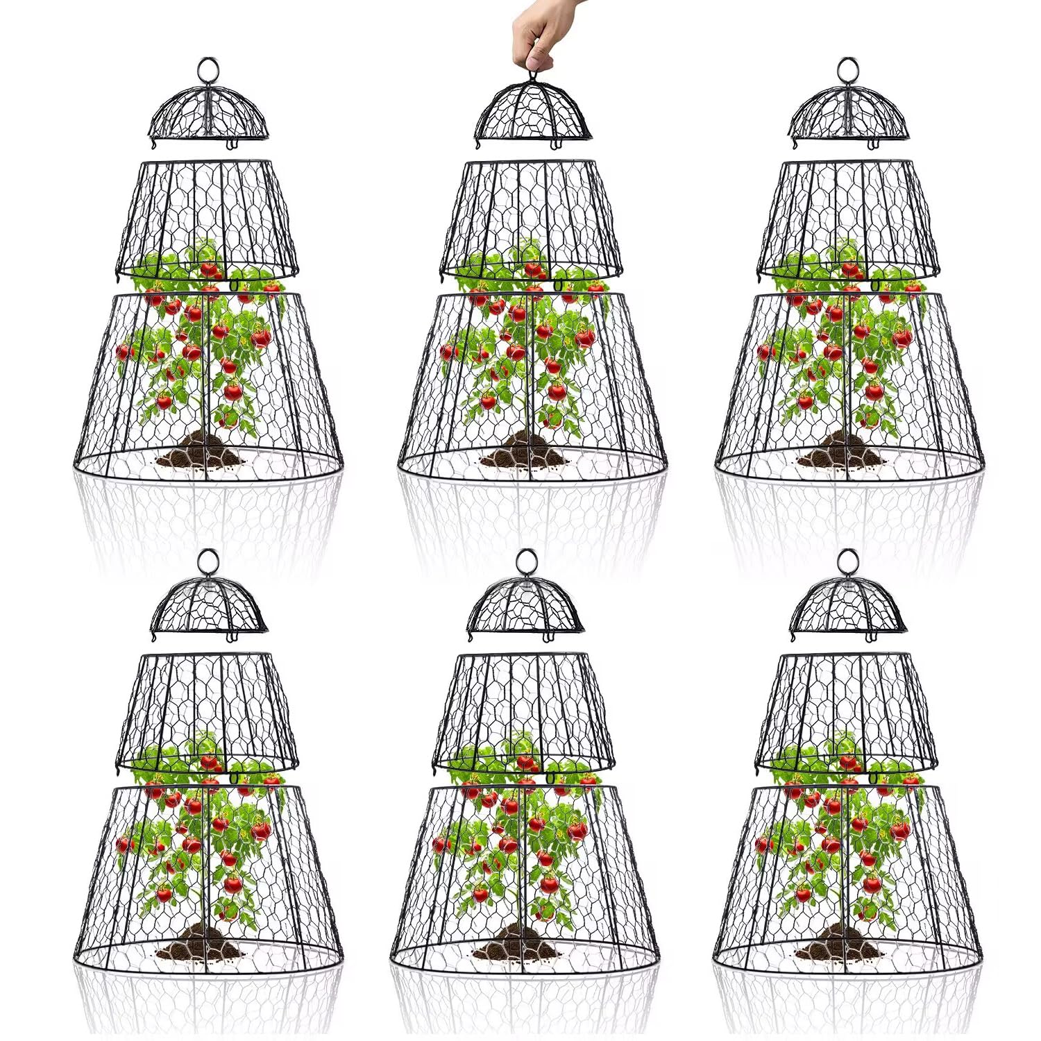 Dadywheels front view of six cloches showing coverage and assembly ease