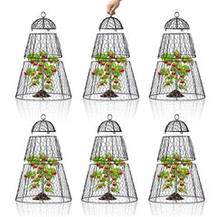 Dadywheels front view of six cloches showing coverage and assembly ease