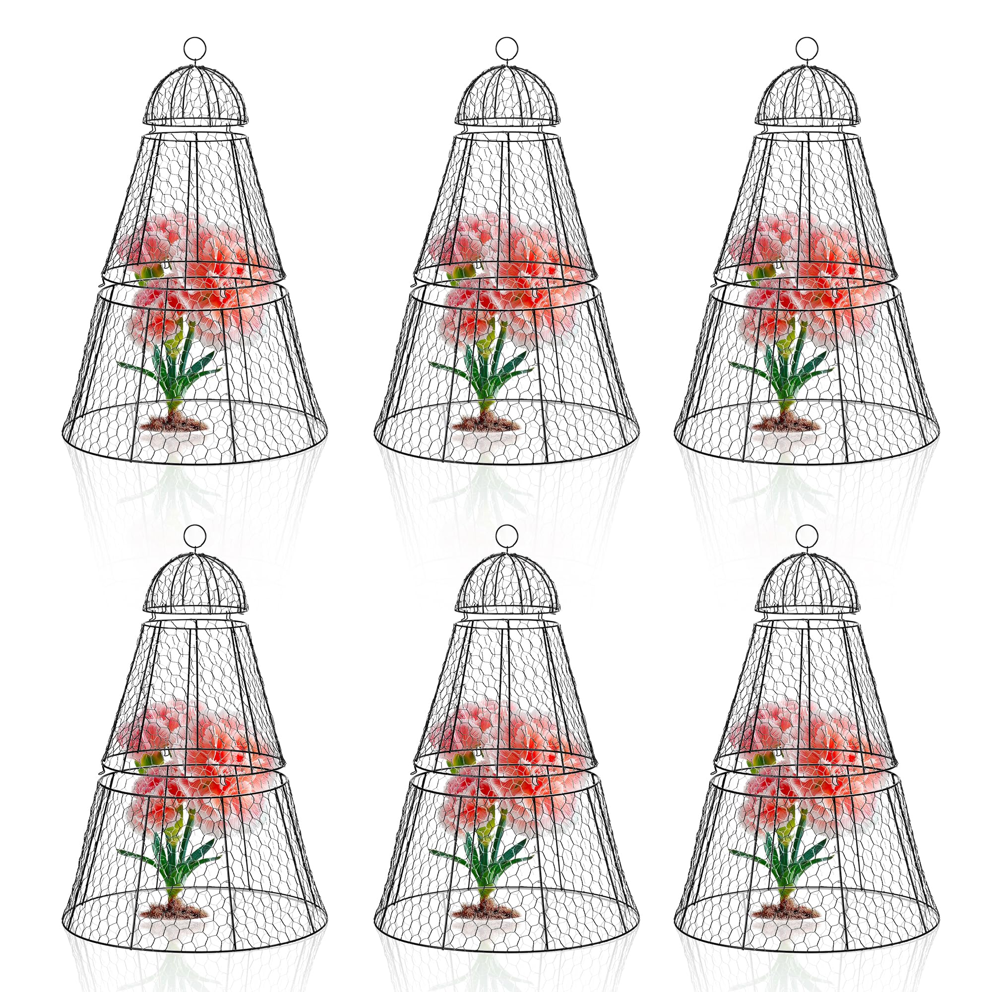 Dadywheels front view of six cloches showing full coverage and easy setup