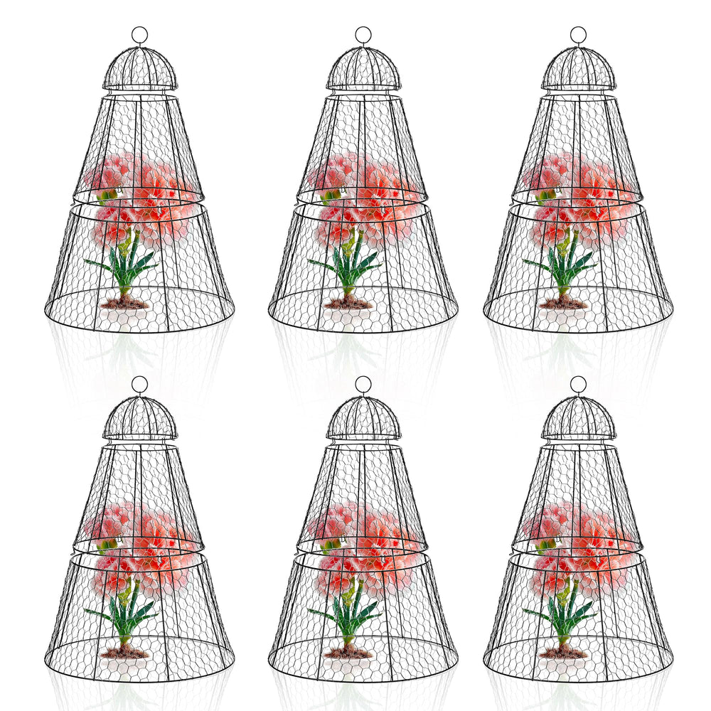 Dadywheels front view of six cloches showing full coverage and easy setup