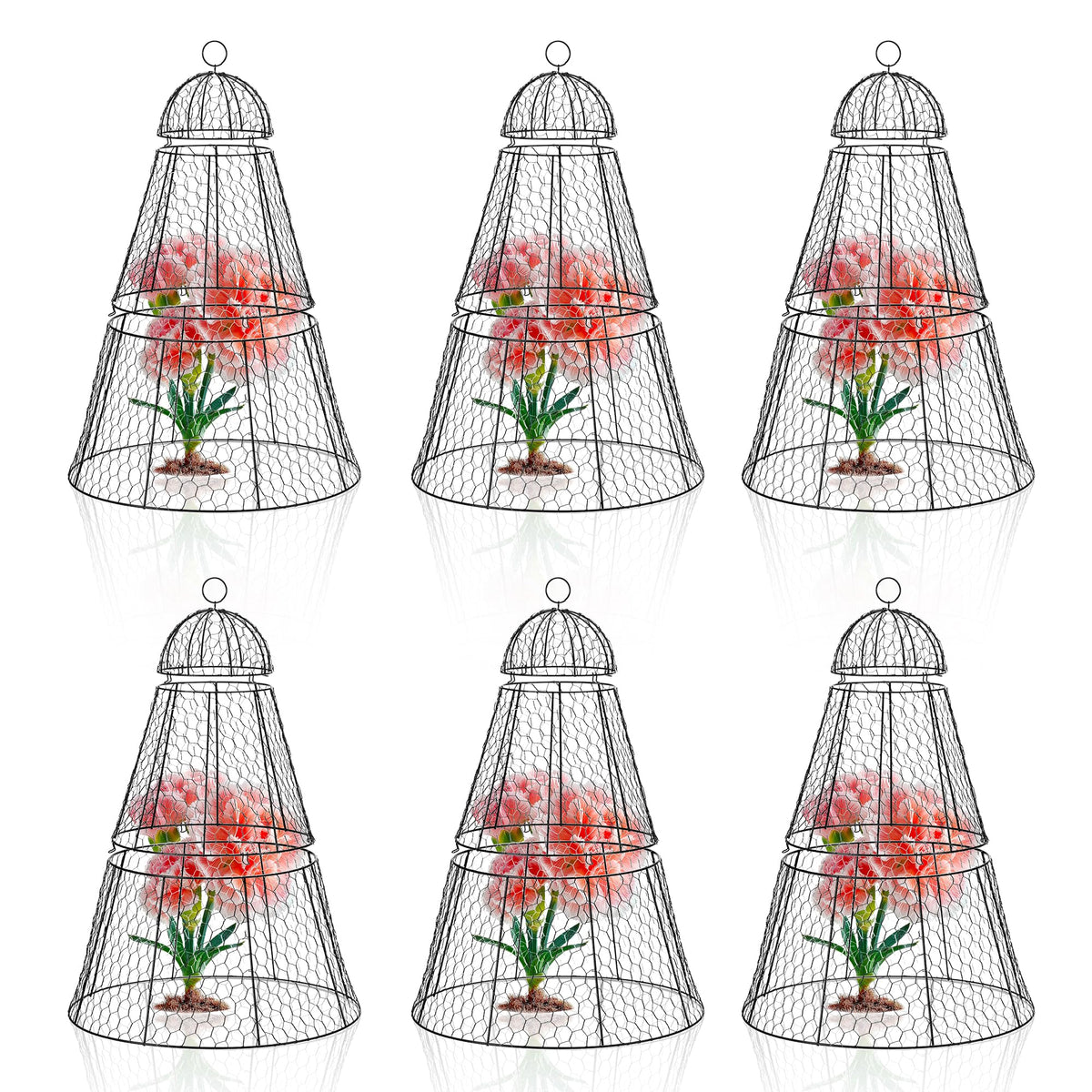 Dadywheels front view of six cloches showing full coverage and easy setup