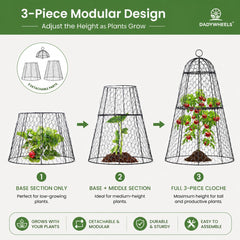 Dadywheels cloche around a tall plant showing 20 inch internal height benefit
