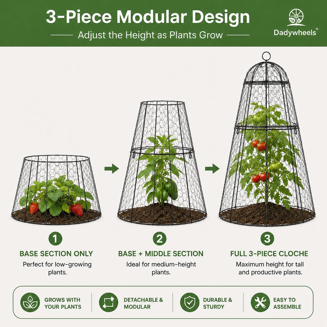 Dadywheels cloche in garden protecting flower bed from birds and small animals