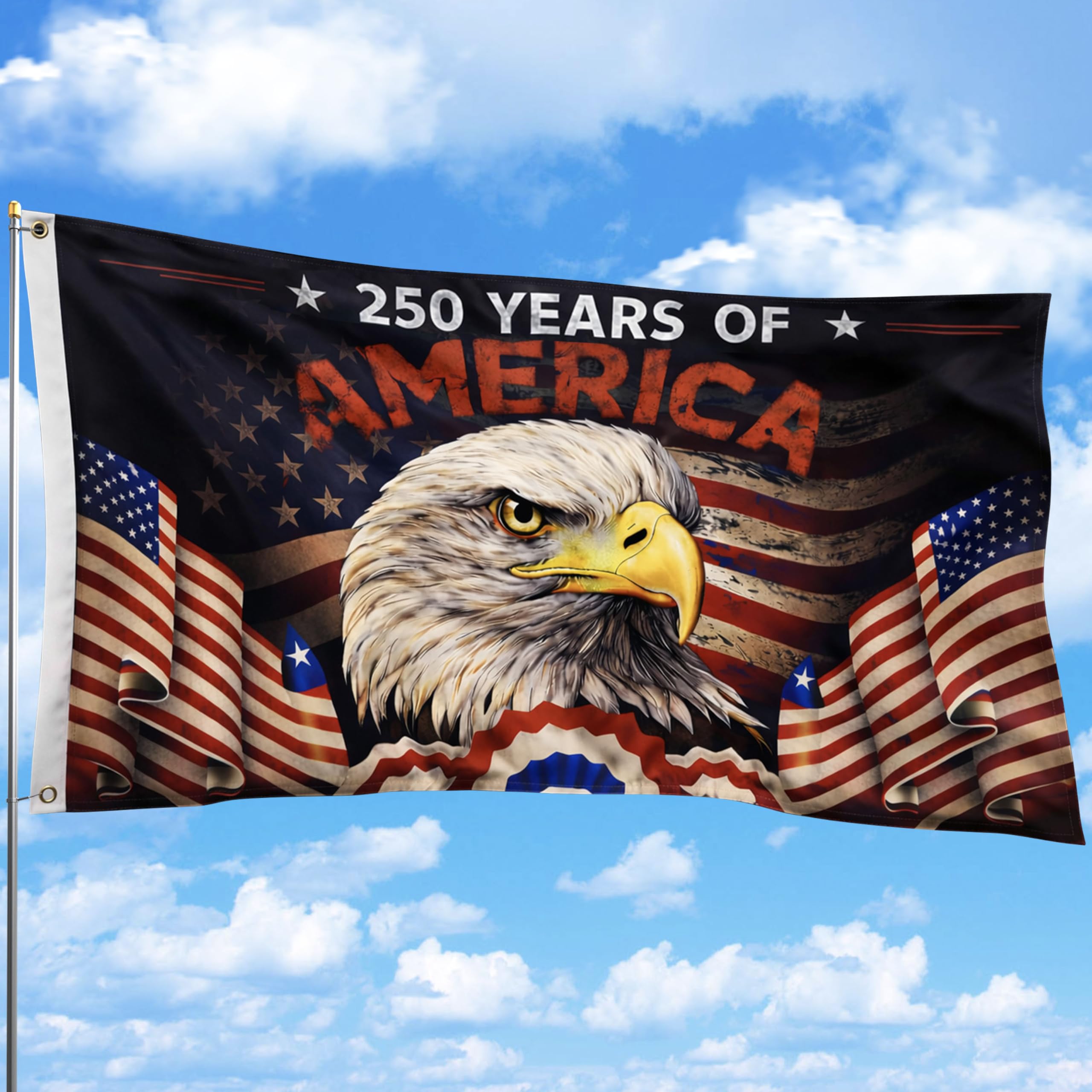 Dagera 250th flag front view showing bold eagle and anniversary design for instant curb appeal