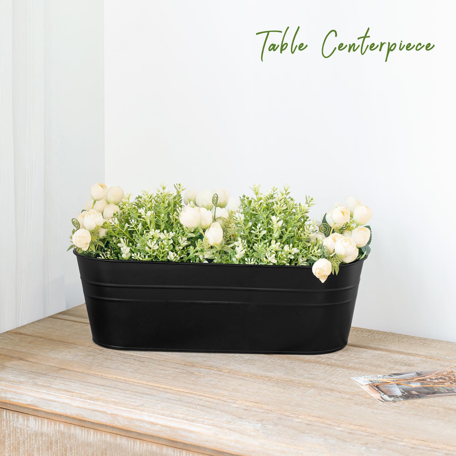 Dahey indoor desktop planter styled with succulents for compact interior gardening