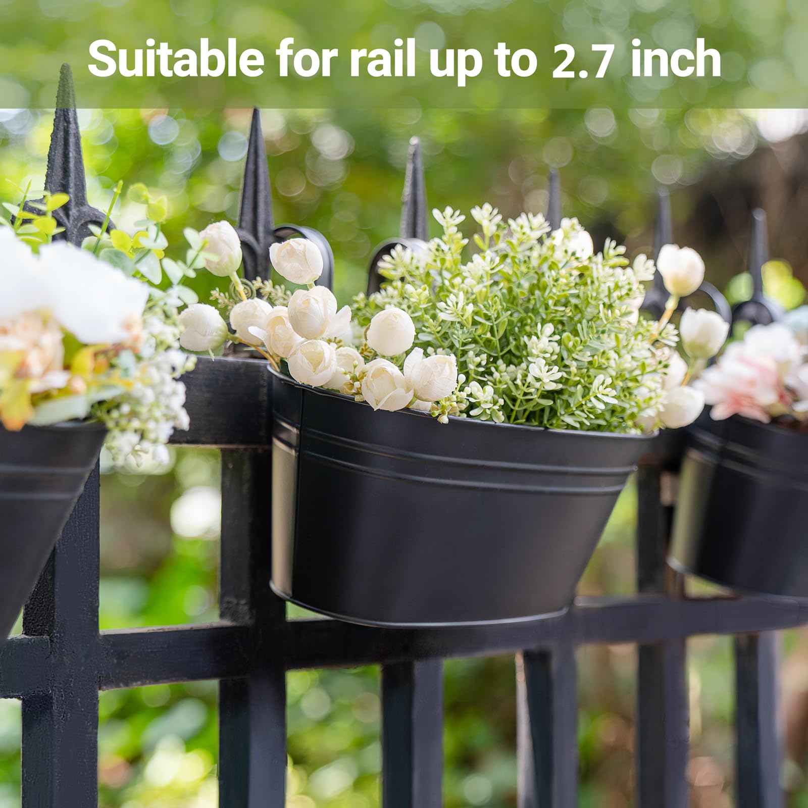 Dahey size comparison with hand illustrating compact, deep planting