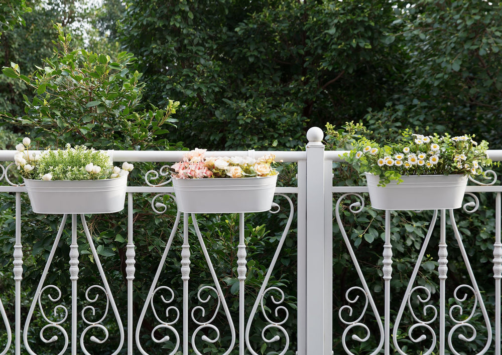 Dahey three-pack mounted on balcony rail creating continuous planting and curb appeal