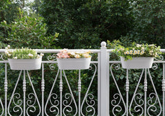 Dahey three-pack mounted on balcony rail creating continuous planting and curb appeal