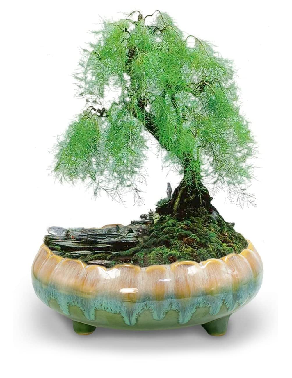 Dahlia front view showing green drip glaze and vintage look, enhances decor