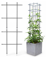 DAIM front view of assembled trellis showing neat support and improved plant display