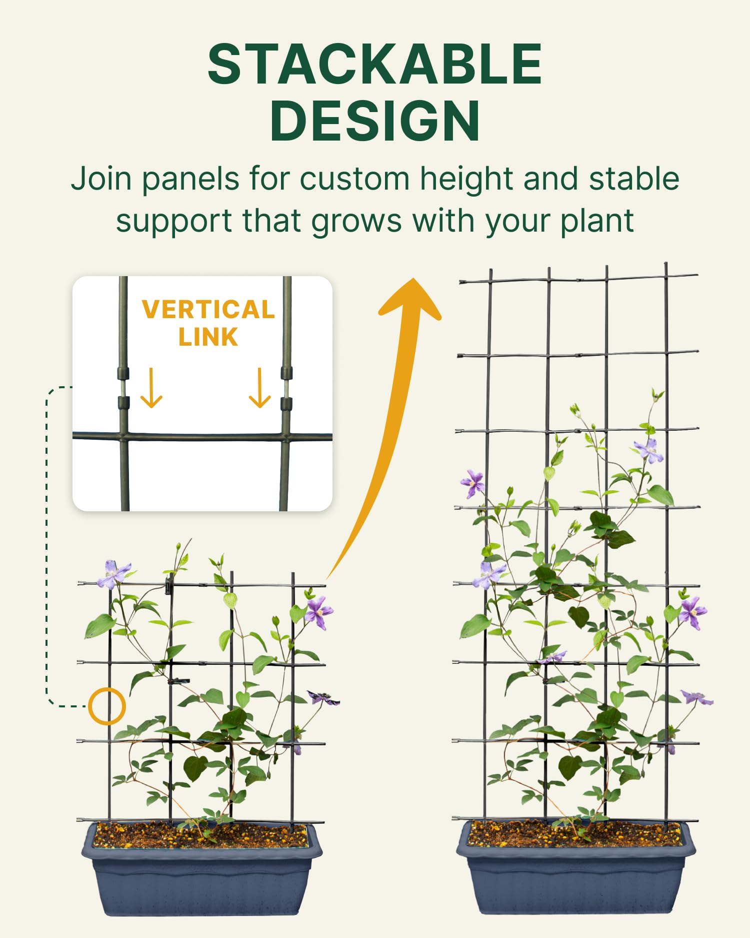 DAIM L-shape trellis in a pot guiding vines outward for balanced growth