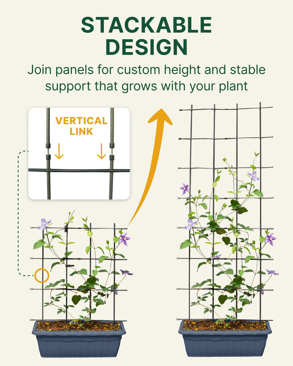 DAIM L-shape trellis in a pot guiding vines outward for balanced growth