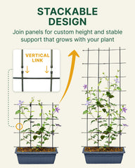 DAIM L-shape trellis in a pot guiding vines outward for balanced growth