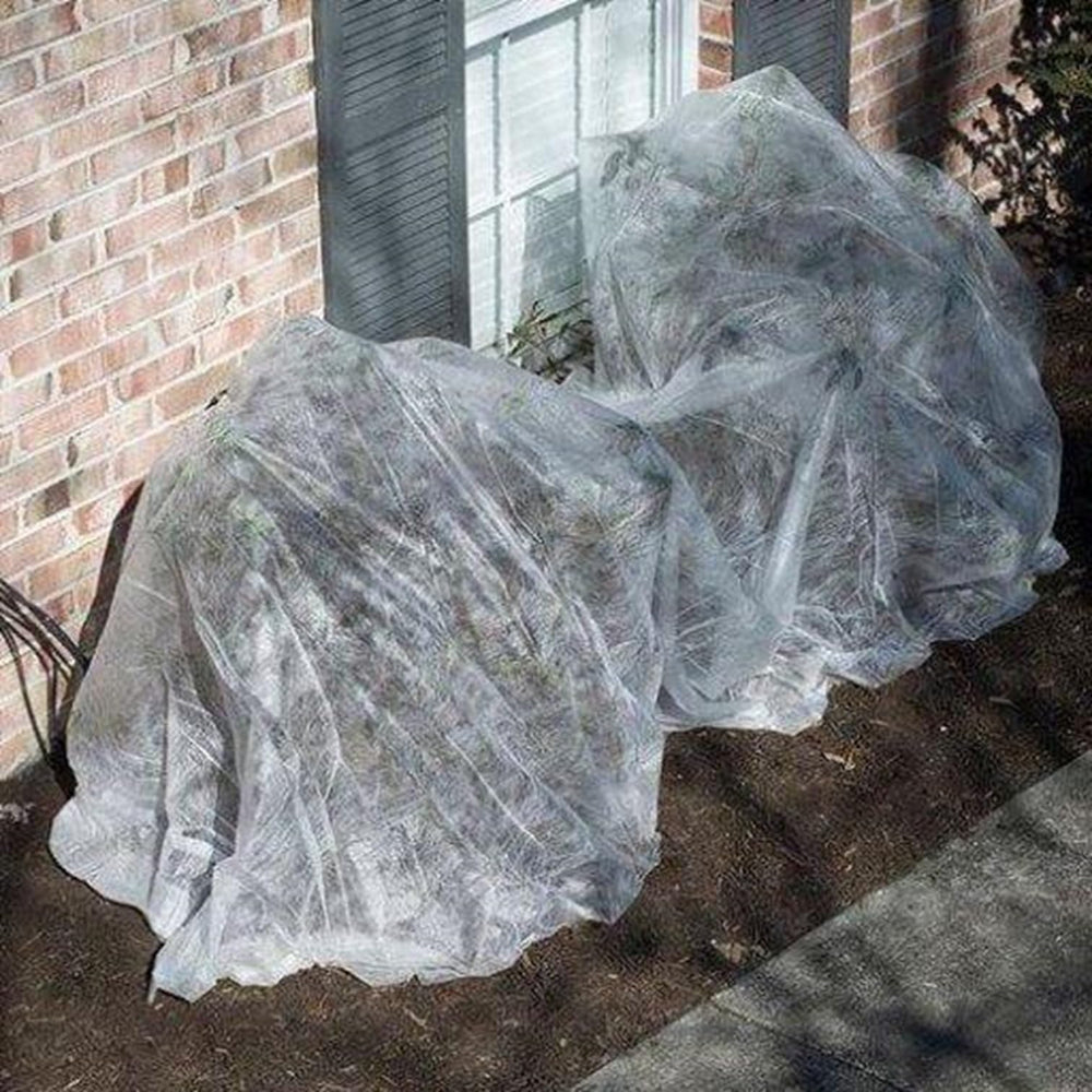 Dalen Harvest Guard draped over vegetable row protecting seedlings and improving germination