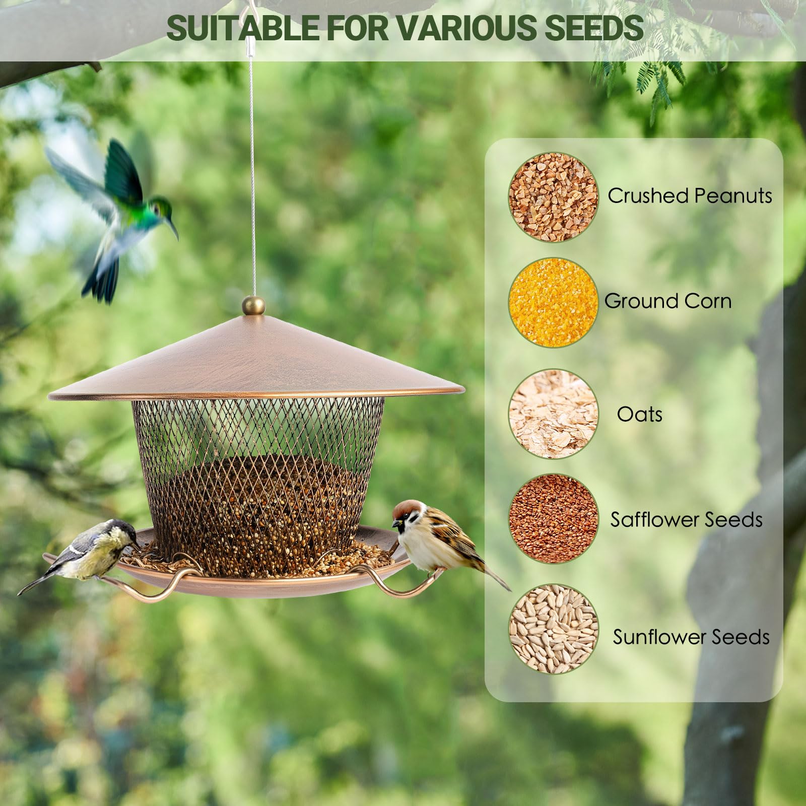 DALOHOMI feeder hanging from tree in backyard attracting wild birds