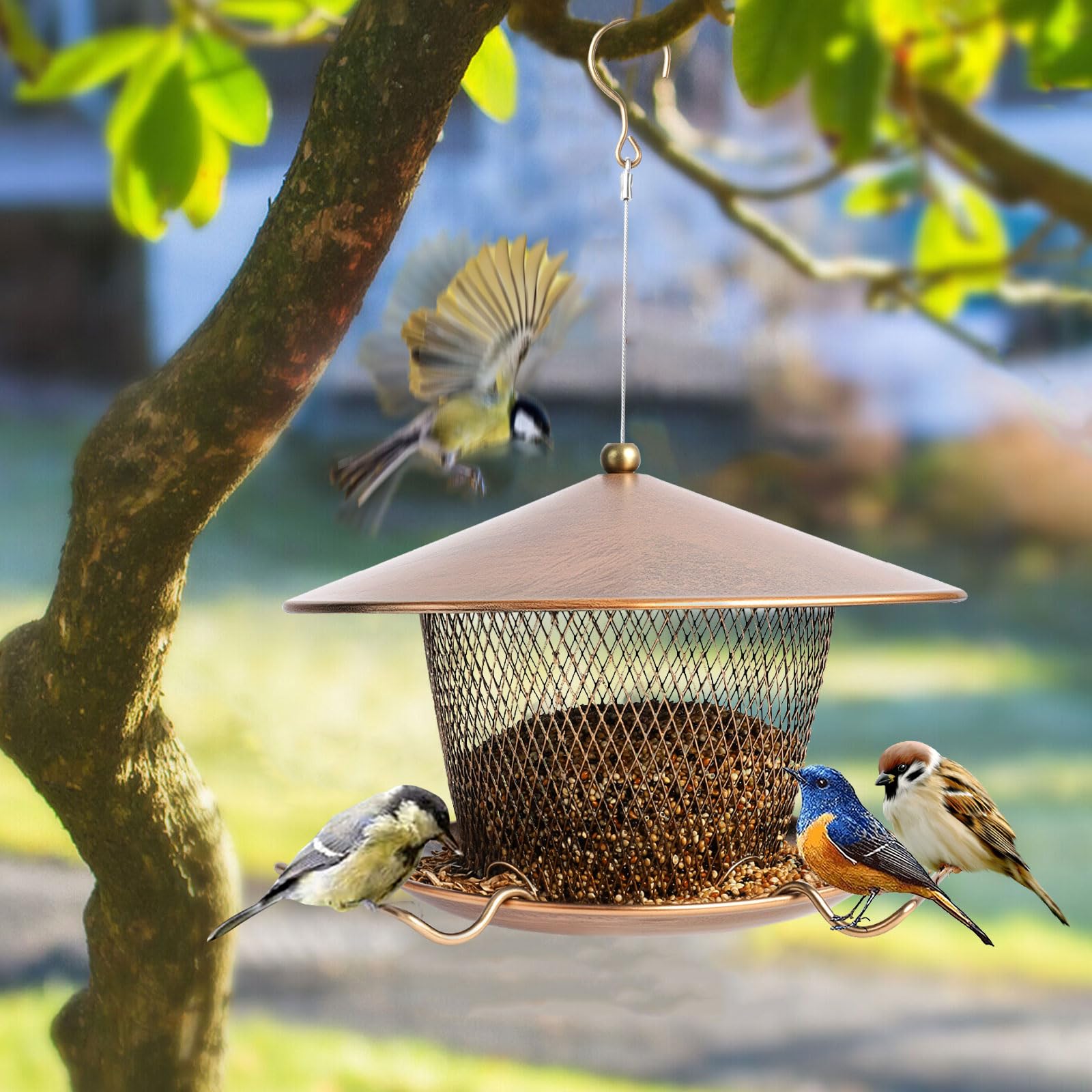 DALOHOMI feeder held in hand to show scale and portability benefits