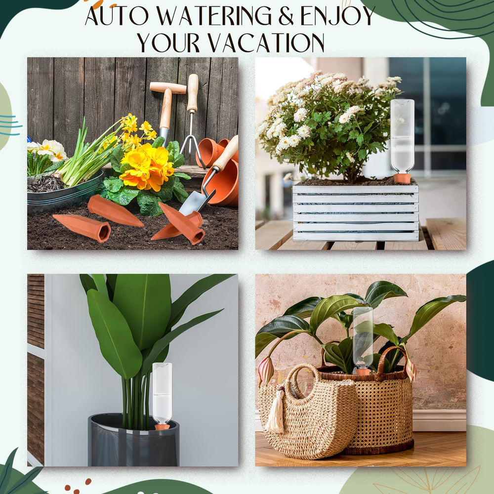 Dandat kit in a home setting with potted plants, ideal for hands-off plant maintenance