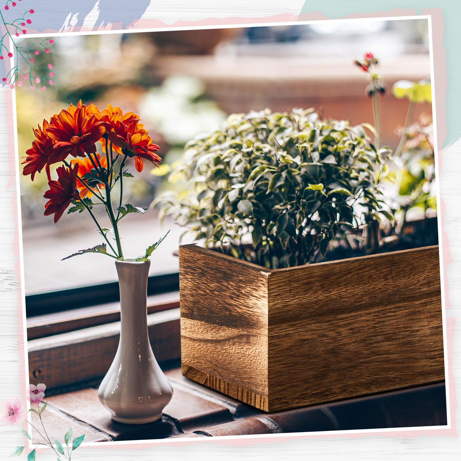 Dandat planter beside ruler illustrating compact size and space-saving advantage