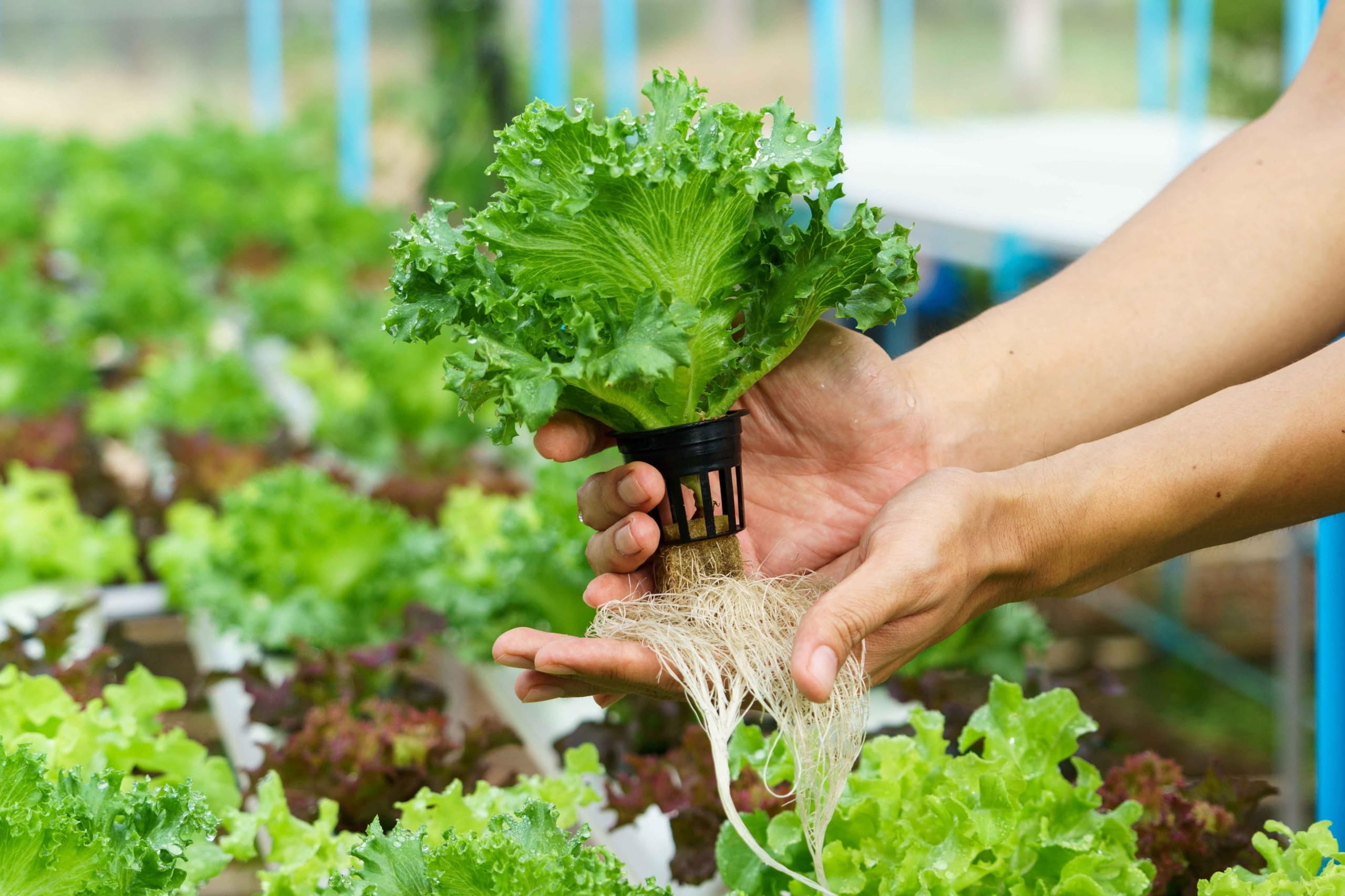 Danner Supreme Hydro‑Mag installed in hydroponic reservoir demonstrating steady nutrient flow