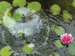 Danner bell fountain spray in pond creating soothing sound and surface movement
